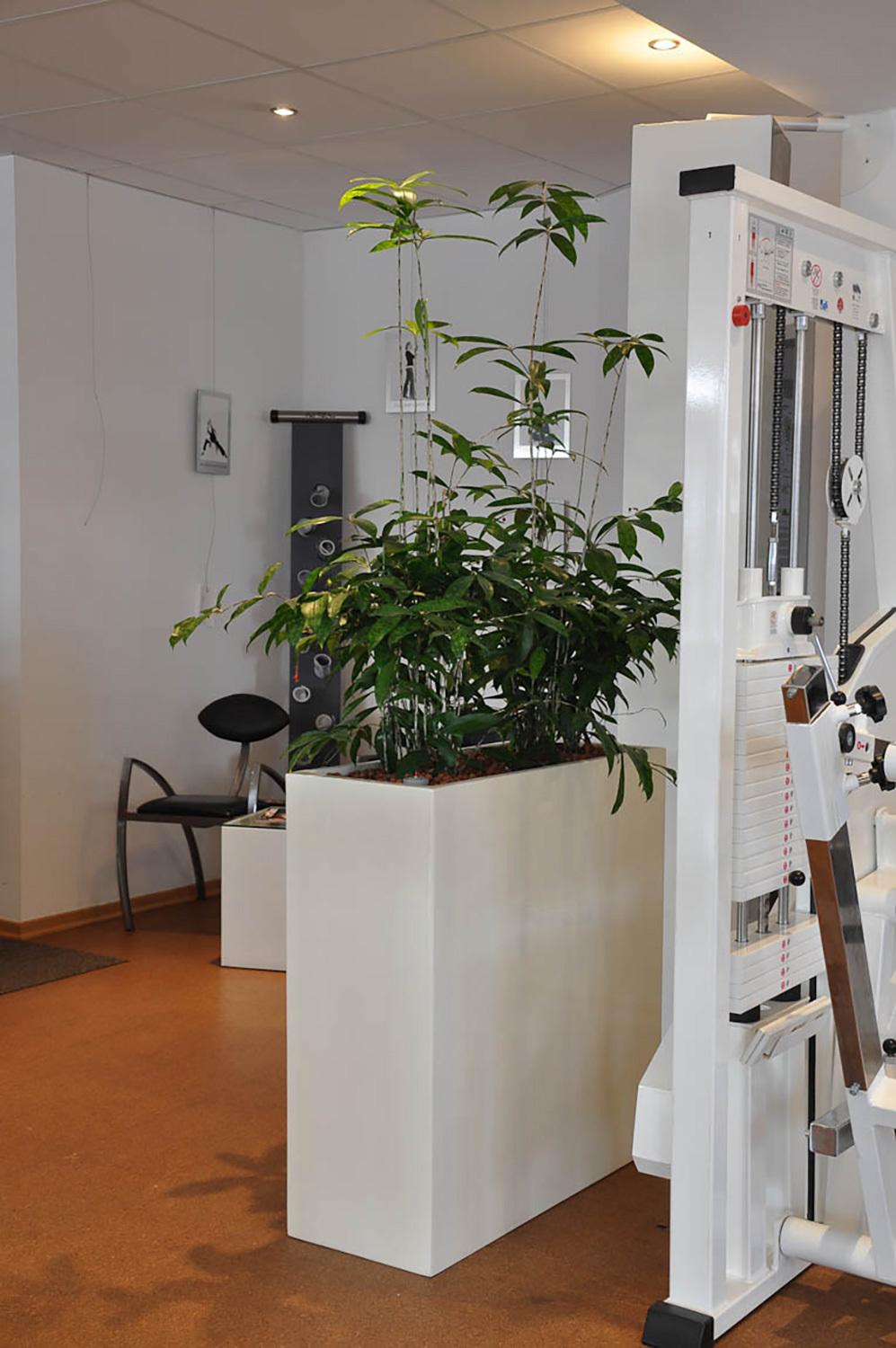 Polystone Divide Raumteiler, 100 x 35 x 80 cm, crème