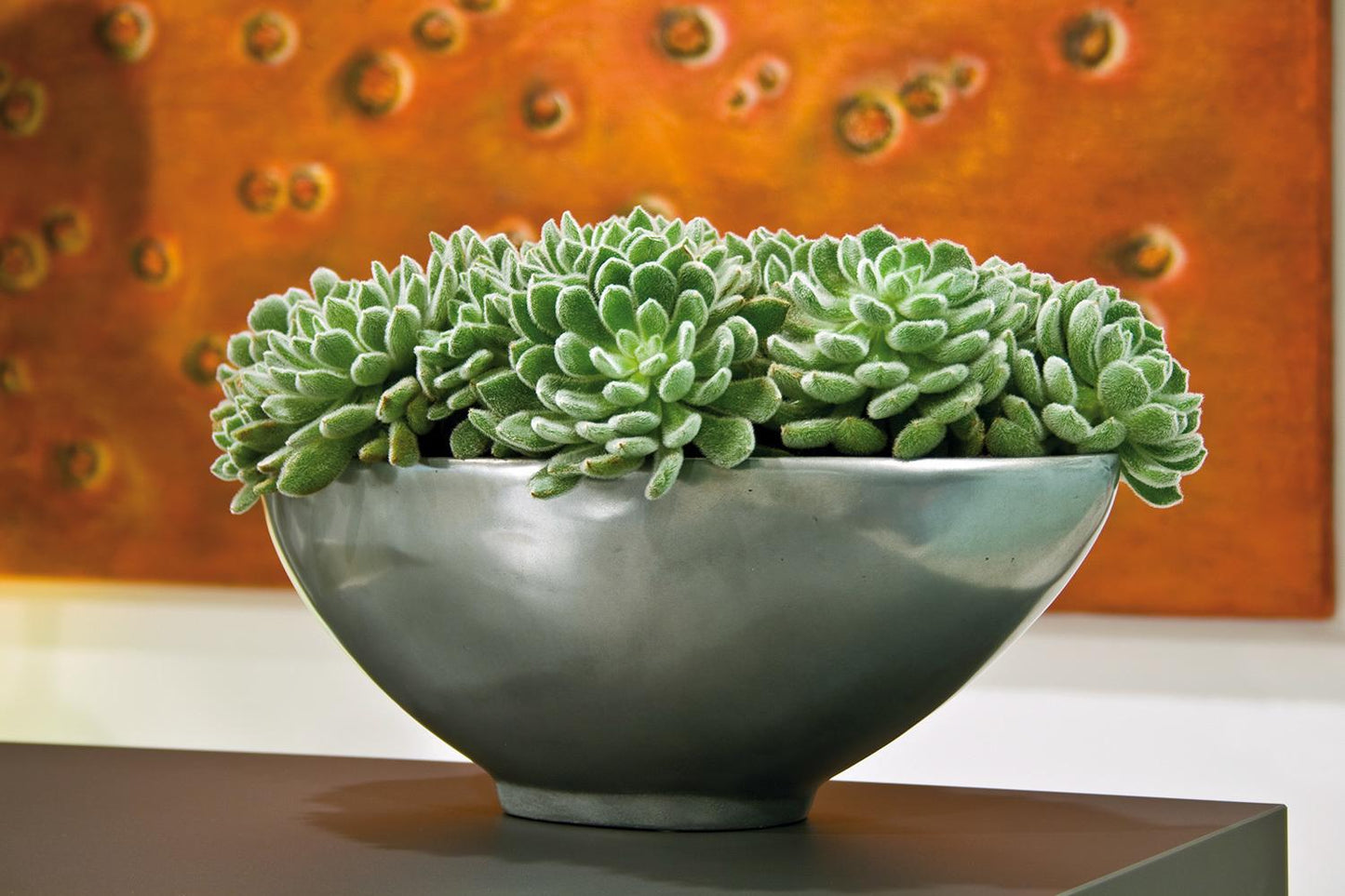 Loft Schale, 51x24/17 cm, Aluminium