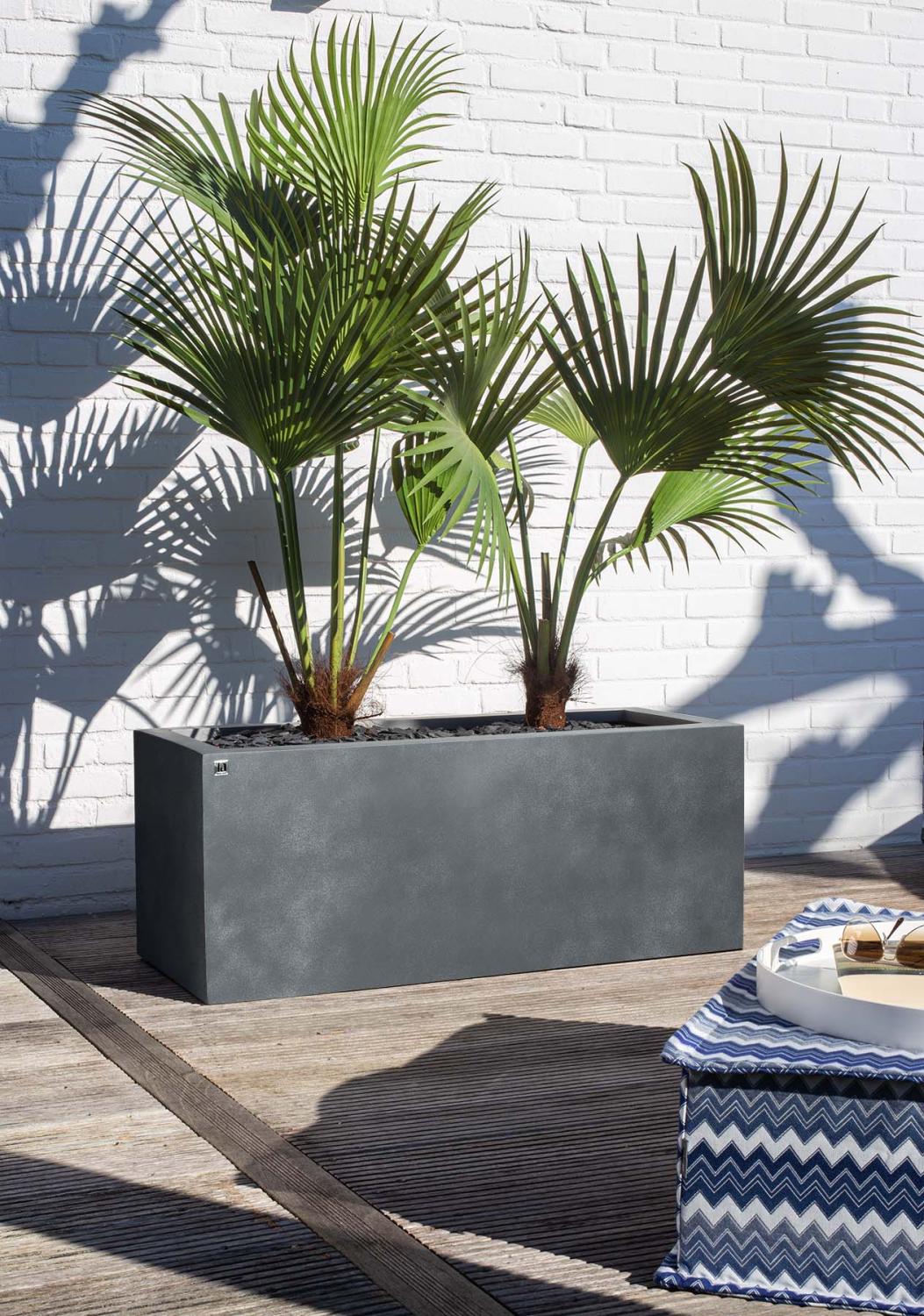 Division Lite Pflanzkasten mit Rollenaufnahme, 100 x 45 x 45 cm, concrete anthrazit