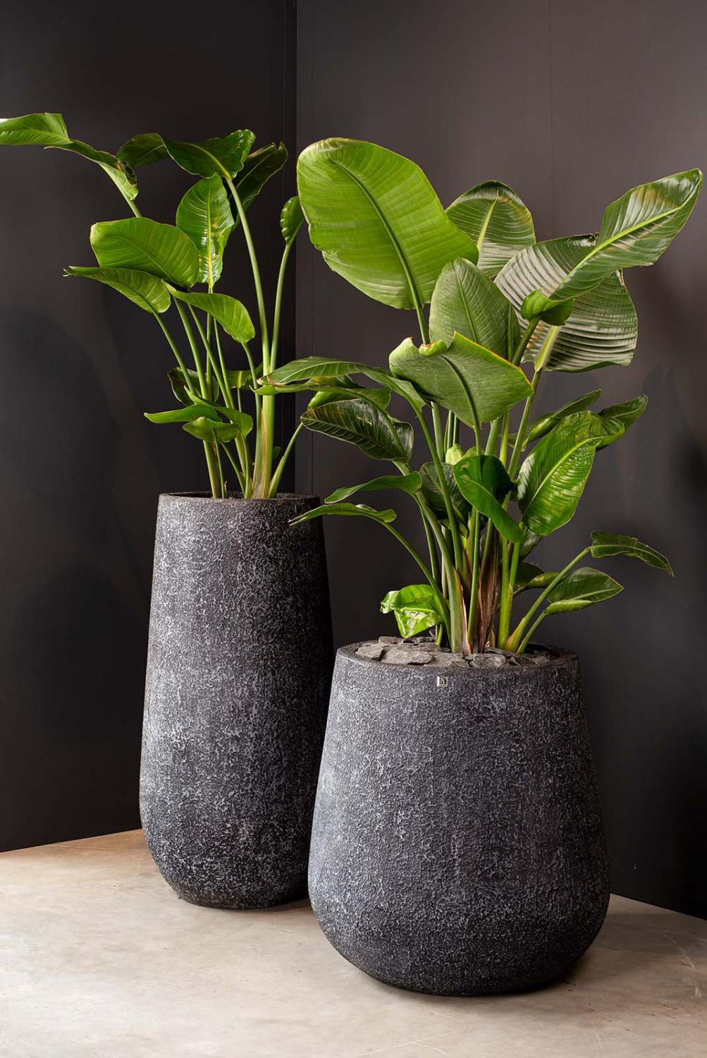 Artic Stone Pflanzgefäß, Ø 63 cm, Höhe 68 cm, Stein-optik