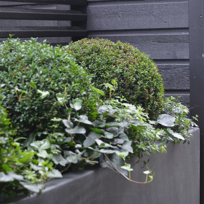 Fiberglas grau Nahaufnahme