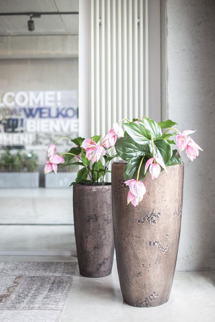 Magnifico Pflanzvase, Ø 35 cm, Höhe 72 cm, antik bronze
