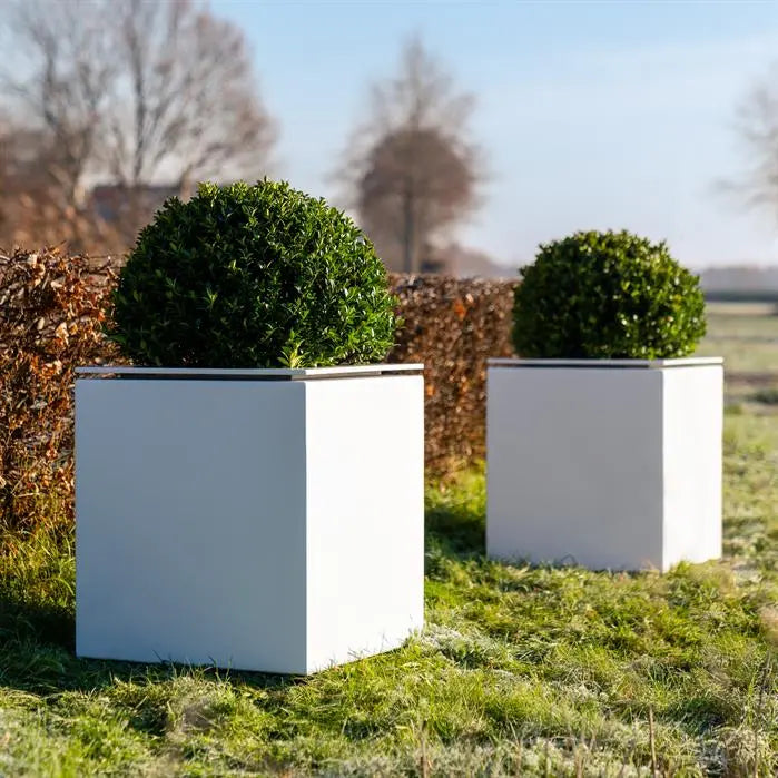 Pfalnzkübel aus Aluminium für Ihren Garten oder Terrasse.