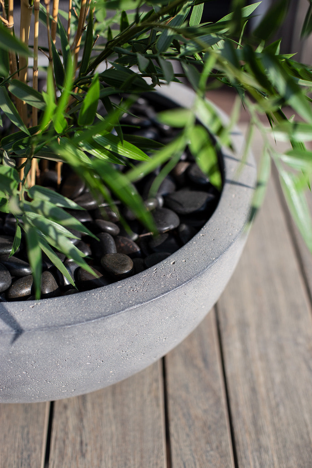 Polystone Ego Plus Pflanzschale, Ø 40 cm, Höhe 18 cm, grau
