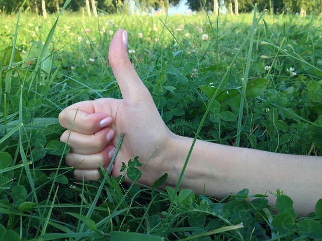 handverlesen produktauswahl bei Potflex