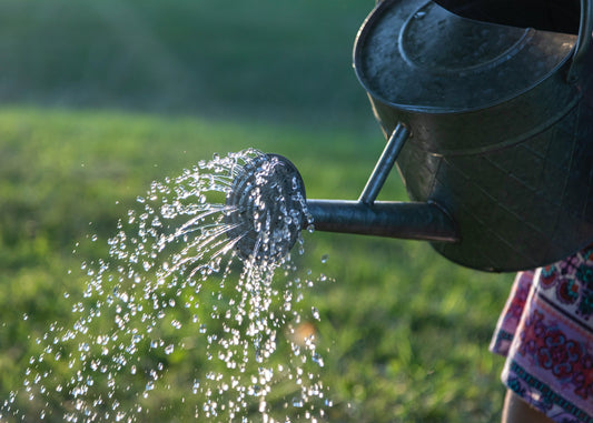 Gießen und Drainage bei Blumenkästen