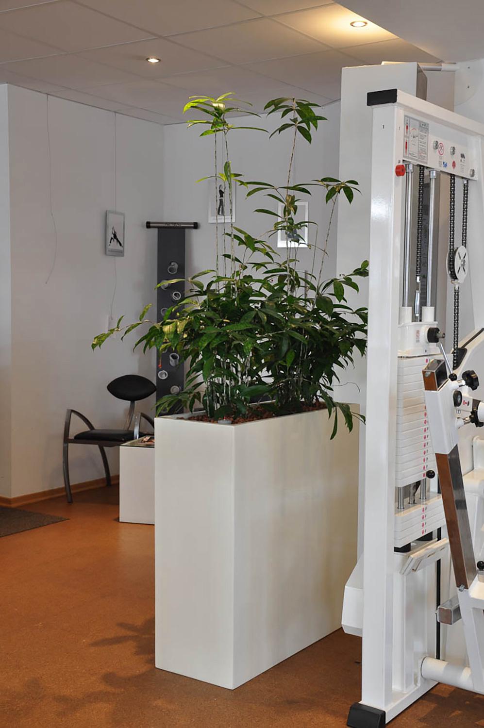 Pflanzkasten als Raumteiler-indoor-weiß