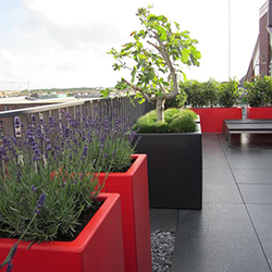 Fiberglas Blumenkästen in rot und schwarz auf Dachterrasse bepflanzt