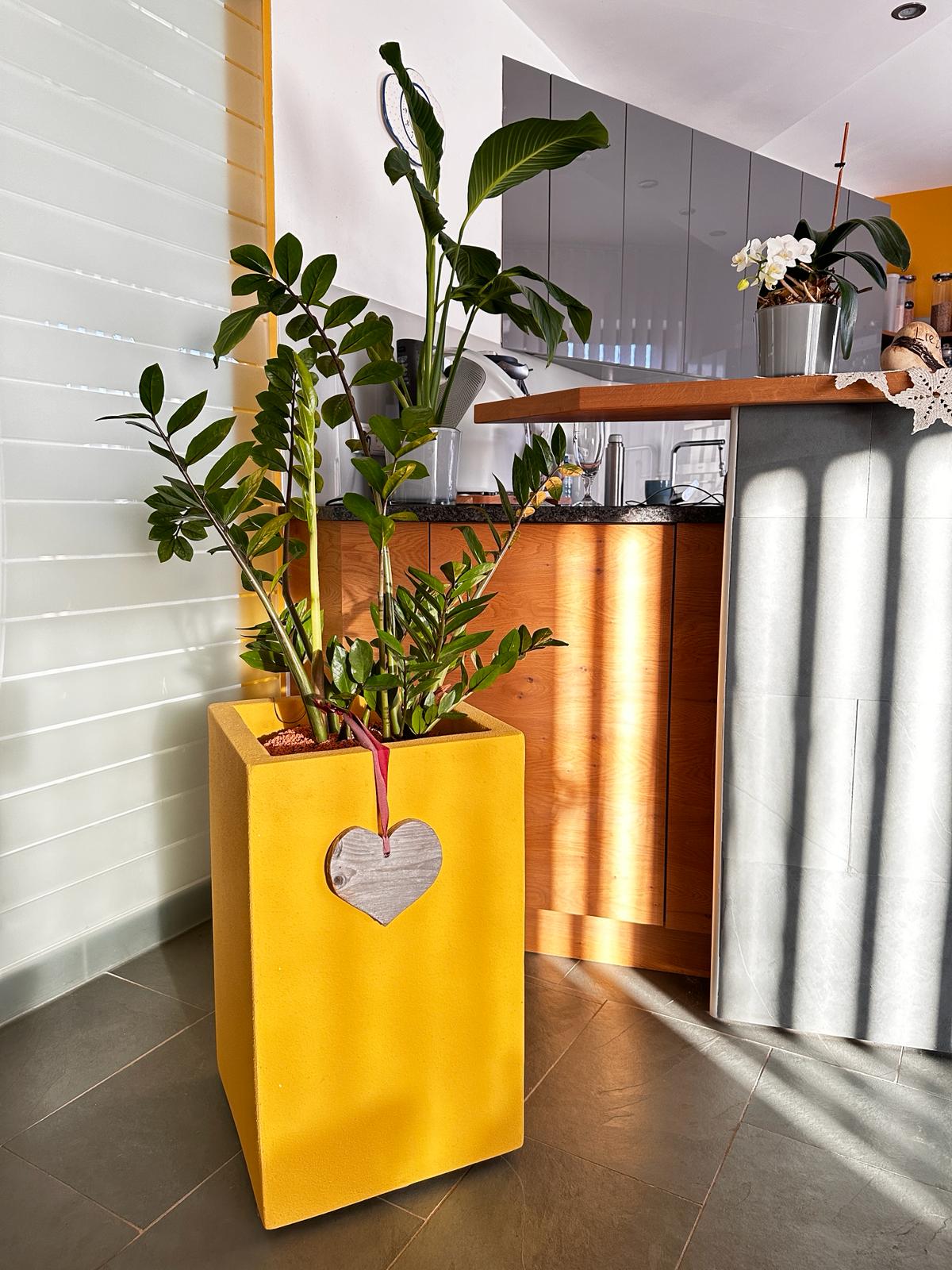 Pflanzkübel Flexi-Design LARGO HOME rechteckig