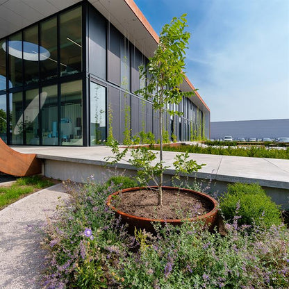 Runder Blumenkasten aus Cortenstahl.