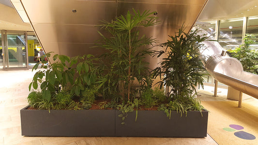 Pflanzkübel Flexi-Design HOME groß