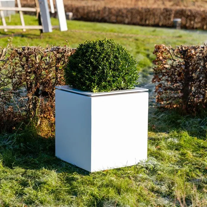 Pflanzkübel aus Aluminium für Ihren Garten oder Terrasse.