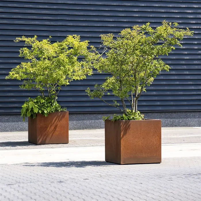 Pflanzkübel aus Cortenstahl für Ihren Garten oder Terrasse.