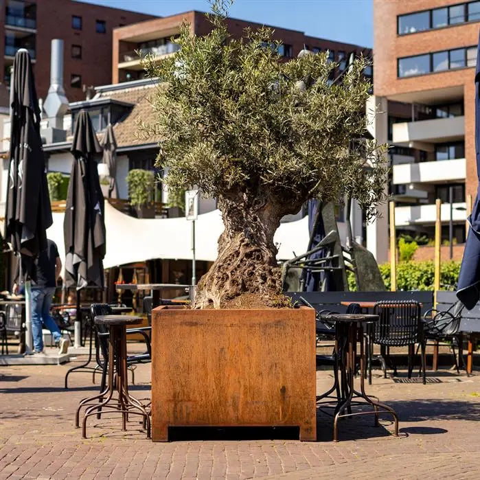 Pflanzkübel aus Cortenstahl.