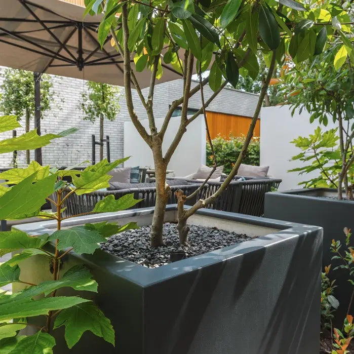 Pflanzkübel aus Fiberglas (Kunststoff) für Ihren Garten oder Terrasse.