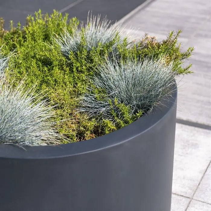 Pflanzkübel aus Fiberglas (Kunststoff) für Ihren Garten oder Terrasse.