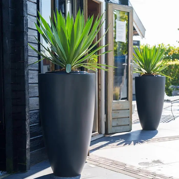Pflanzkübel aus Fiberglas (Kunststoff) für Ihren Garten oder Terrasse.
