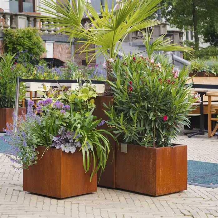 Pflanzkübel aus Cortenstahl (Metall) für Ihren Garten oder Terrasse.